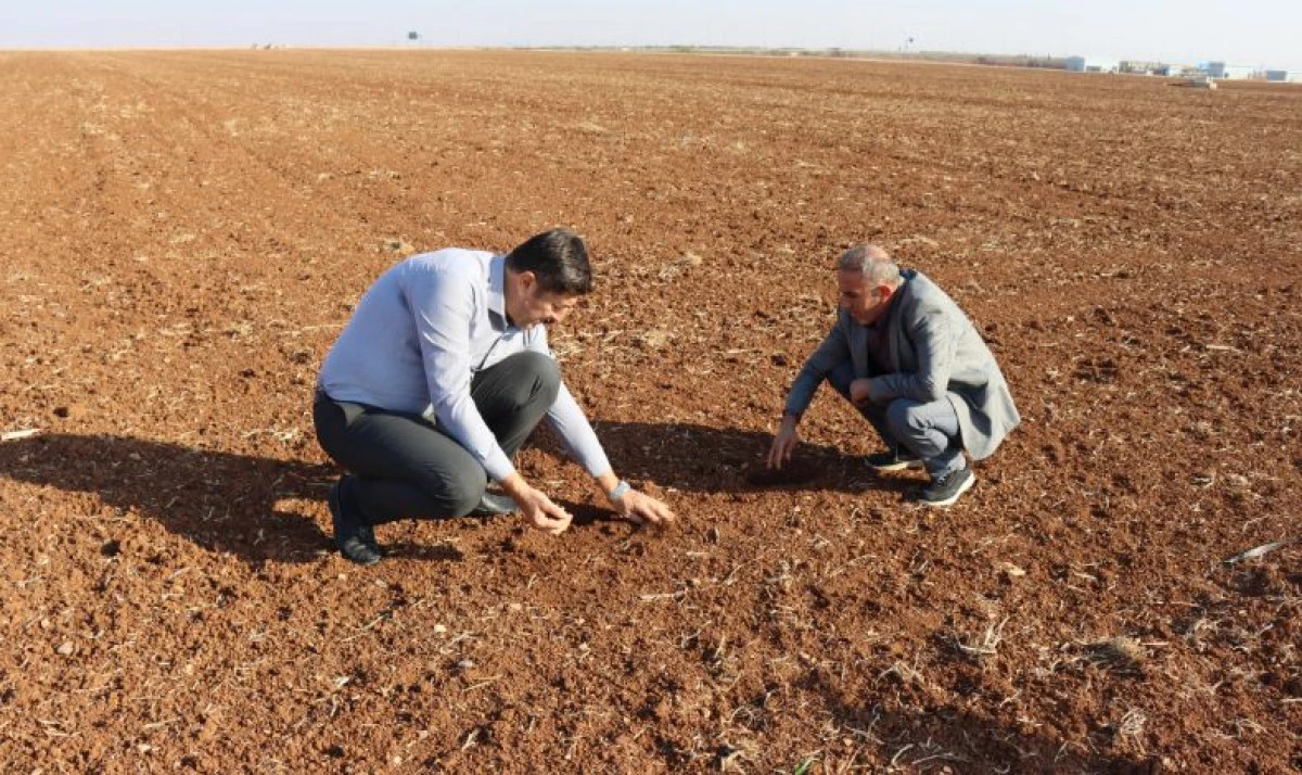 Dünya Toprak Günü’nde Önemli Uyarı