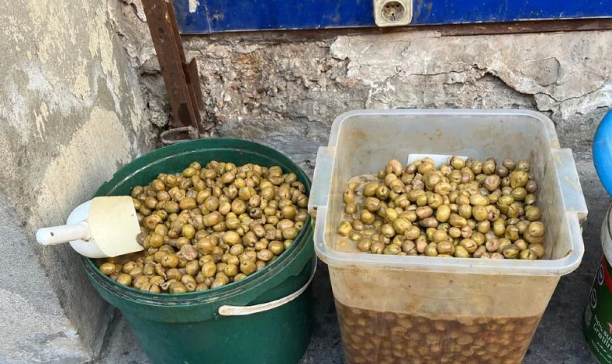 Eyy&uuml;biye&rsquo;de Gıda Denetiminde 1 Ton Bozulmuş Zeytin Ele Ge&ccedil;irildi