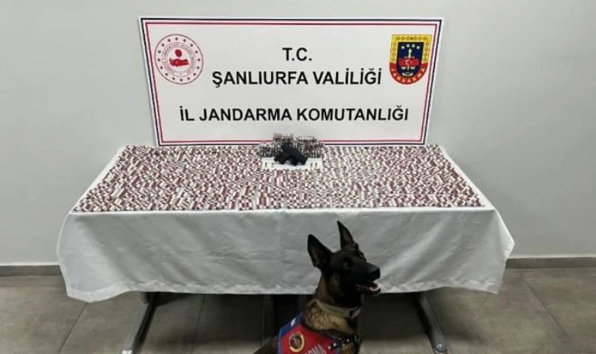 Haliliye’de Sentetik Hap Operasyonu