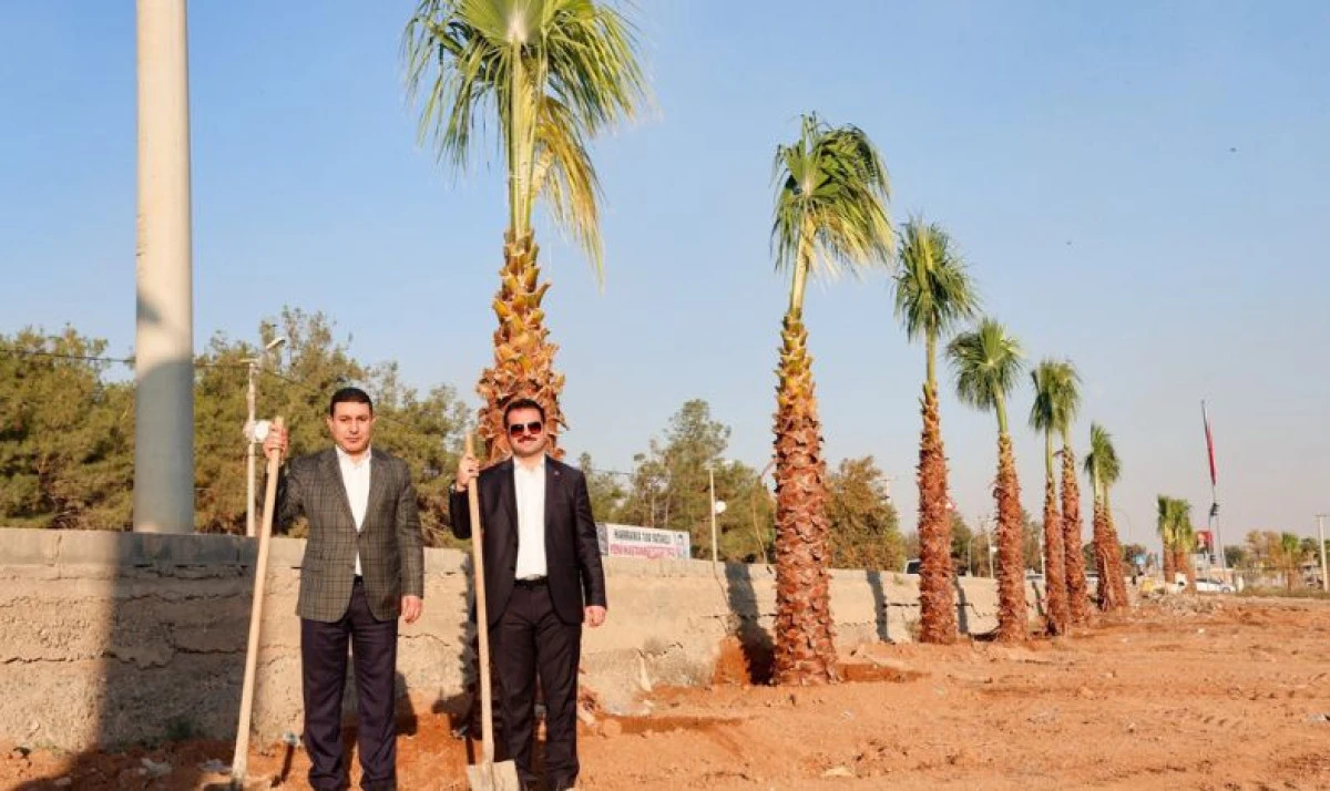 Harran, Bölgenin Parlayan Yıldızı Olma Yolunda