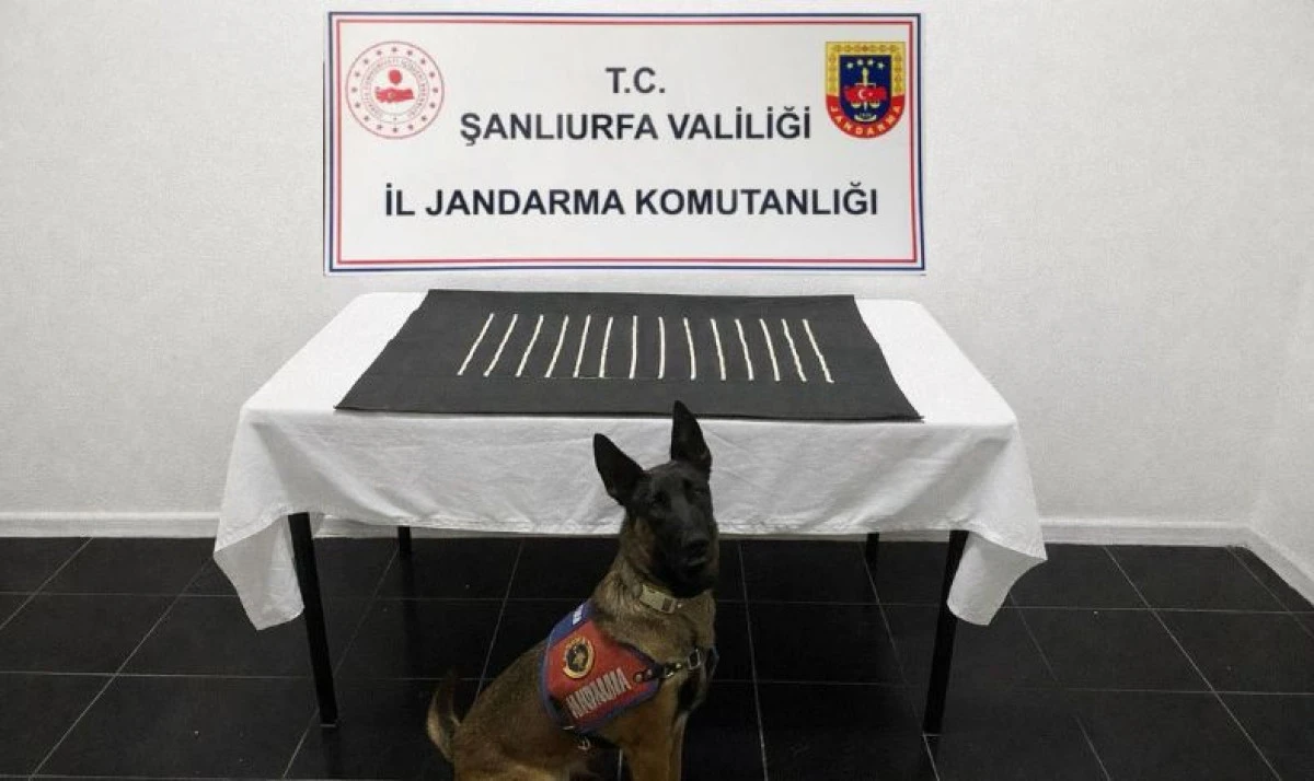 Harran&rsquo;da Jandarmadan Uyuşturucu Operasyonu: 664 Adet Captagon Ele Ge&ccedil;irildi