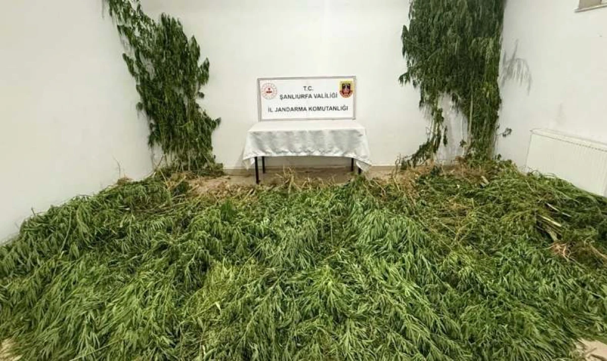 Jandarmadan Birecik’te uyuşturucu operasyonu