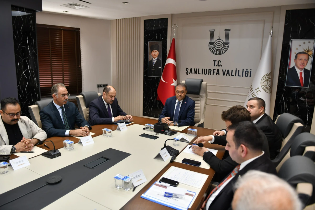 Sahipsiz hayvanlara ilişkin çalışmalar çok yönlü ele alındı