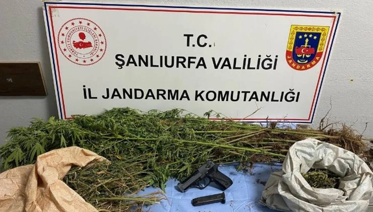 Şanlıurfa’da Narkotik Operasyonu