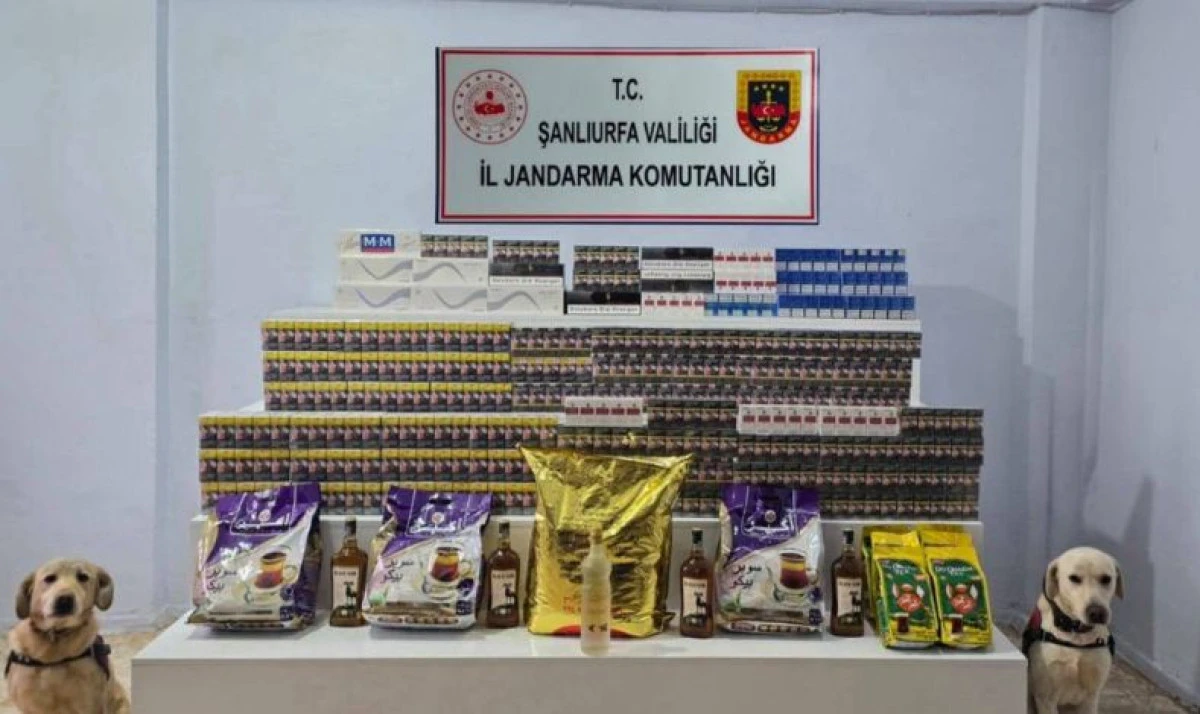 ŞANLIURFA&rsquo;DA T&Uuml;T&Uuml;N VE ALKOL KA&Ccedil;AK&Ccedil;ILIĞINA DARBE