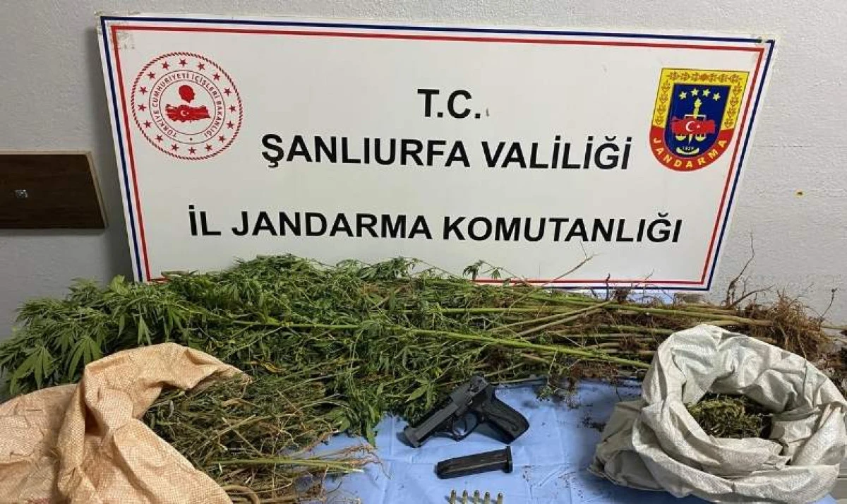 Şanlıurfa’da Uyuşturucu Operasyonu