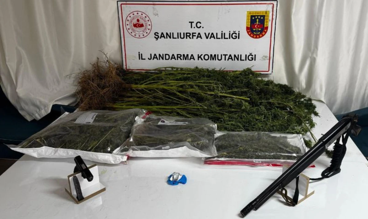 Şanlıurfa’da Uyuşturucu Operasyonu: 4 Şüpheli Gözaltında