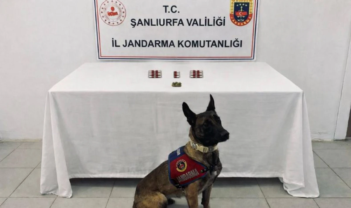 Şanlıurfa&rsquo;da Uyuşturucuya Ge&ccedil;it Yok