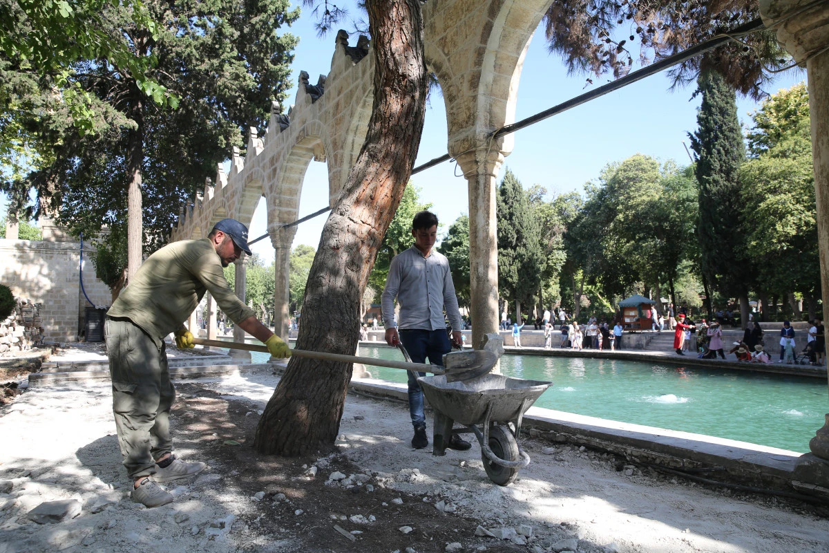 Şanlıurfa’nın Simgesi Balıklıgöl Baştan Aşağı Yenileniyor