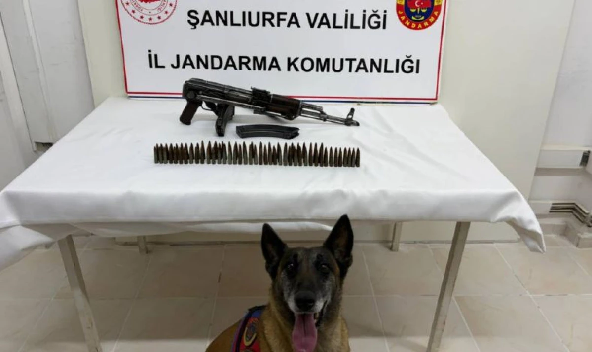 Suru&ccedil;&rsquo;ta Ruhsatsız Silah Operasyonu: Piyade T&uuml;feği ve M&uuml;himmat Ele Ge&ccedil;irildi